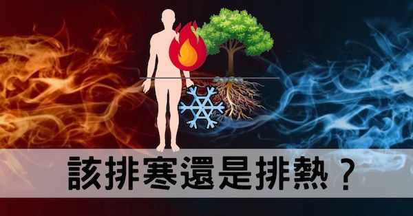 究竟該排寒還是排熱?從經絡數據看到現代人的寒底!