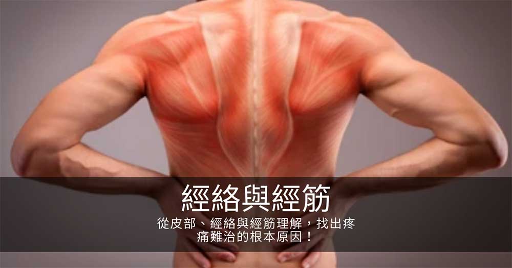 從皮部、經絡與經筋理解,找出疼痛難治的根本原因!