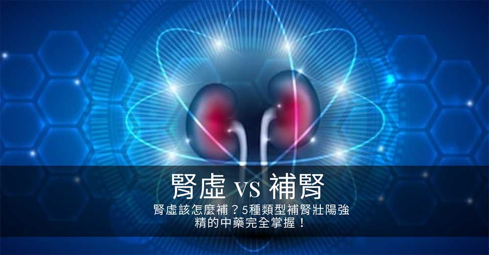 腎虛該怎麼補?5種類型補腎壯陽強精的中藥完全掌握!