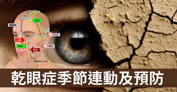 從經絡理解乾眼症與季節的連動關係，找出預防之道！
