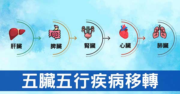 從經絡臟腑五行理解「上工治未病」的原理與方法!