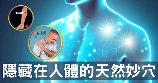 人體天然妙穴無所不在,待你發掘經絡穴道的秘密!