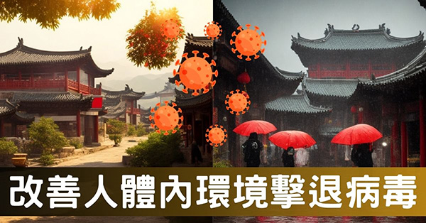 原來，中醫是從改善「內環境」來擊退病毒！《疾病密碼》