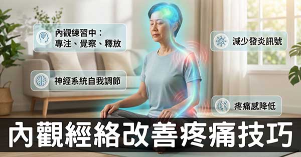 30秒學內觀!體驗經絡與自然療癒最強大的核心方法