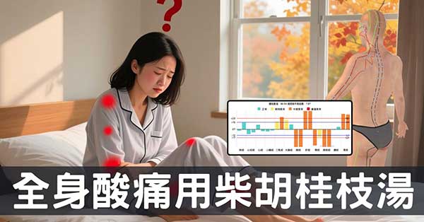 從經絡看全身酸痛：為何「柴胡桂枝湯」能有效改善？