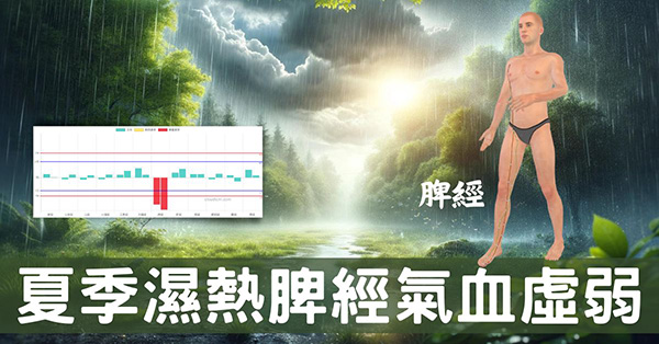 夏季濕熱與脾經氣血虛弱，17種症狀全面理解！