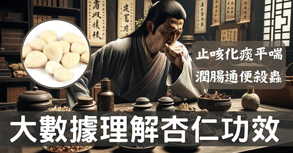 從大數據及經絡角度理解「杏仁」的3類強大功效!