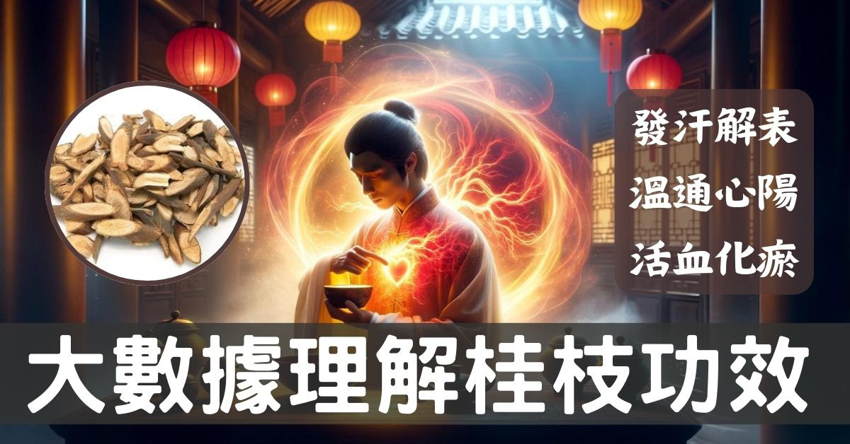 從大數據及經絡角度理解「桂枝」的6種強大功效!