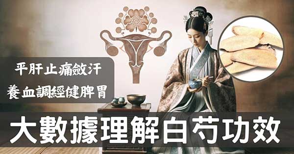 從大數據及經絡角度理解「白芍」的4種強大功效!