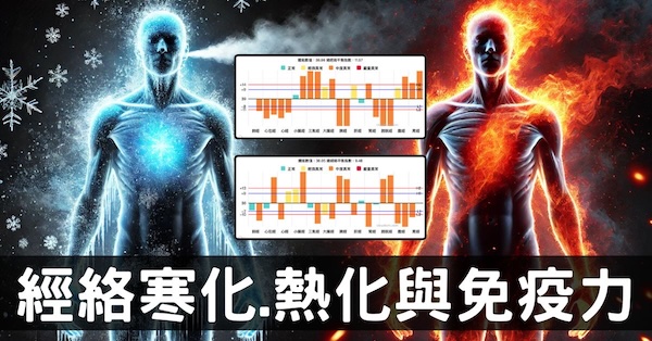 經絡體質熱化寒化降低免疫力，破解疾病終極密碼！