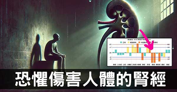 從腎經虛證看「腎主驚恐」的情緒與個性現象!
