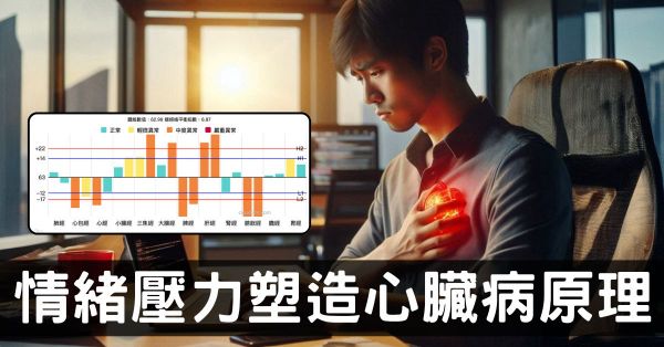 情緒壓力如何造就心臟病？從經絡型態的演變徹底理解！