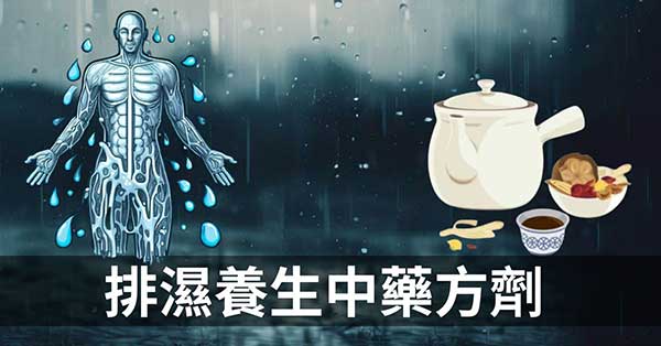 體內濕氣太重怎麼辦?13種排濕養生中藥方劑一定要學!