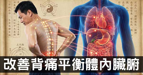 背痛反映五臟六腑的健康狀態，改善背痛是養生基本功！