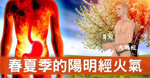 從陽明經(胃、大腸經)理解胃火熱的12種症狀！