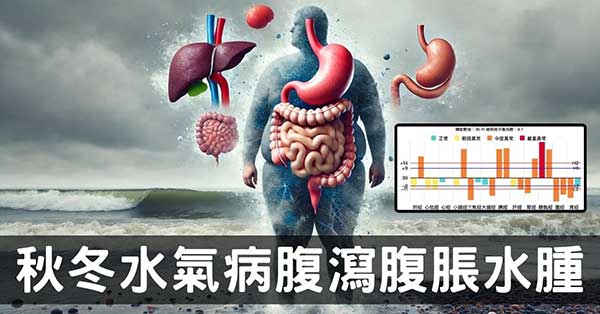 秋冬季節水氣病系列三:水腫、腹脹腹瀉、小便不利