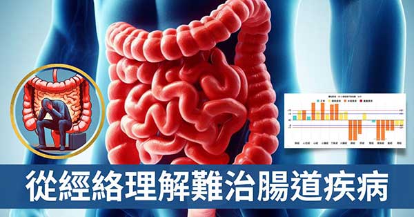 從經絡理解腸道疾病、腸躁症與肛門痛是什麼原因？