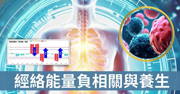 從十二經絡的「負相關」連動性,找出養生的秘密!