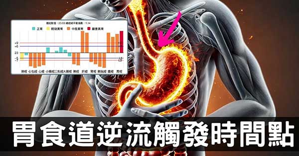 從經絡型態，理解觸發胃食道逆流的4個時間點！