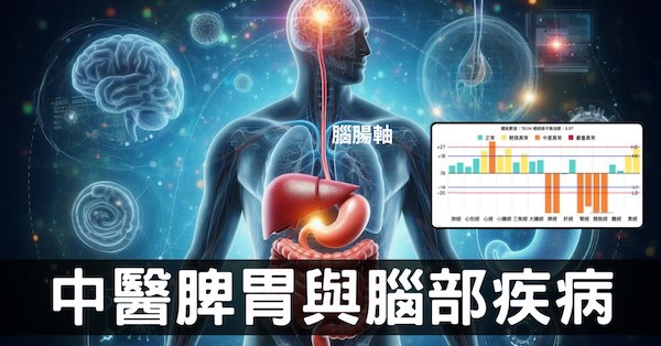 從經絡理解，大腦與脾胃腸道系統有什麼關聯？