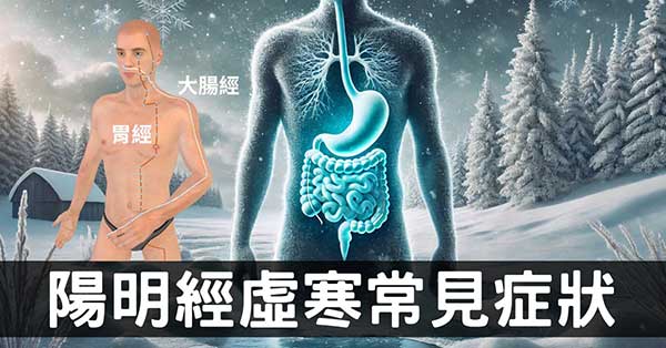 從陽明經(胃、大腸經)理解胃虛寒的9種症狀！