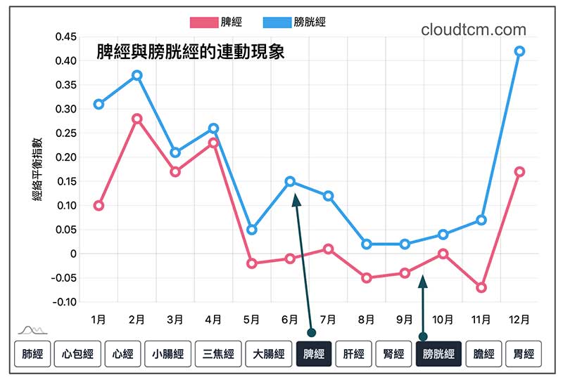 脾經與膀胱經具備明顯的連動性