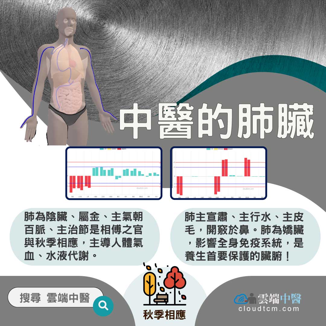 從肺經組成的經絡型態,理解中醫的「肺臟」究竟是什麼?