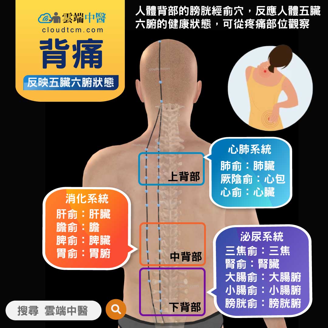 背痛常見的位置