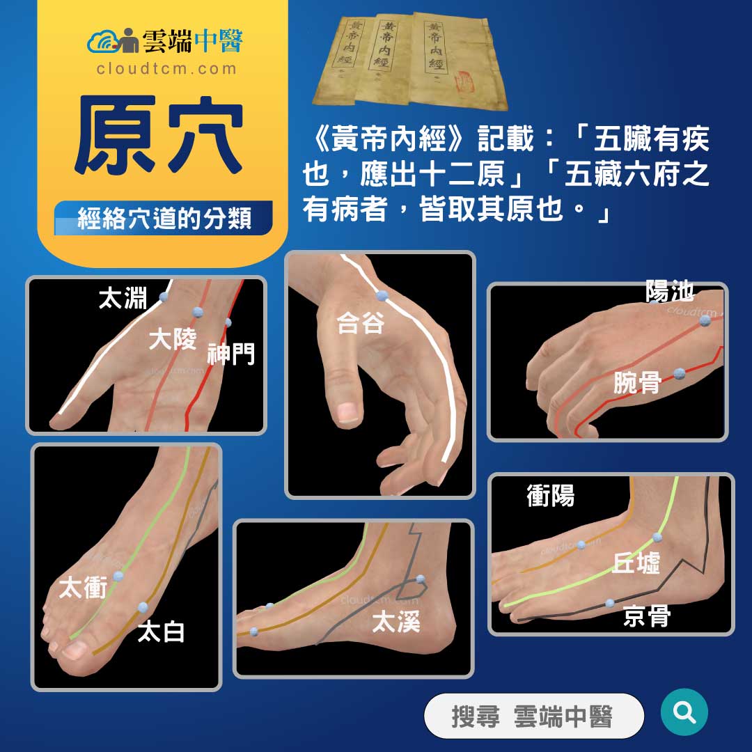 理解12經絡的原穴與五輸穴,良導絡檢測點是什麼穴?