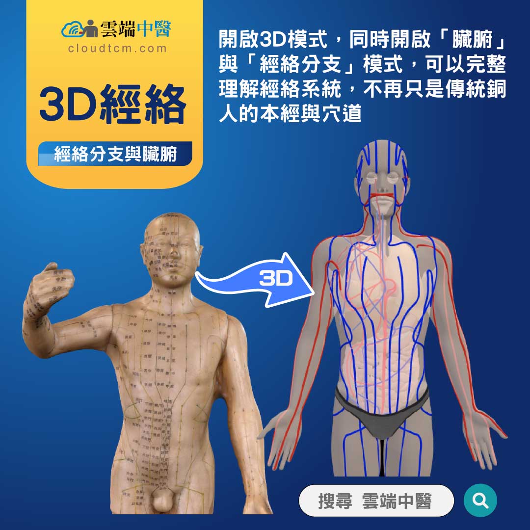 開啟3D經絡分支與臟腑,即時理解體內完整經絡體系!