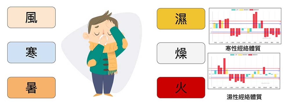 六氣強烈影響身體與疾病的關係