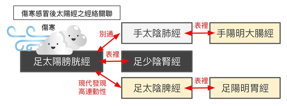 傷寒感冒後,單就太陽經影響的層面就很複雜