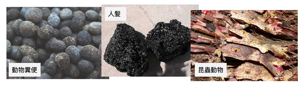 不少噁心的中藥,現代人根本不敢吃