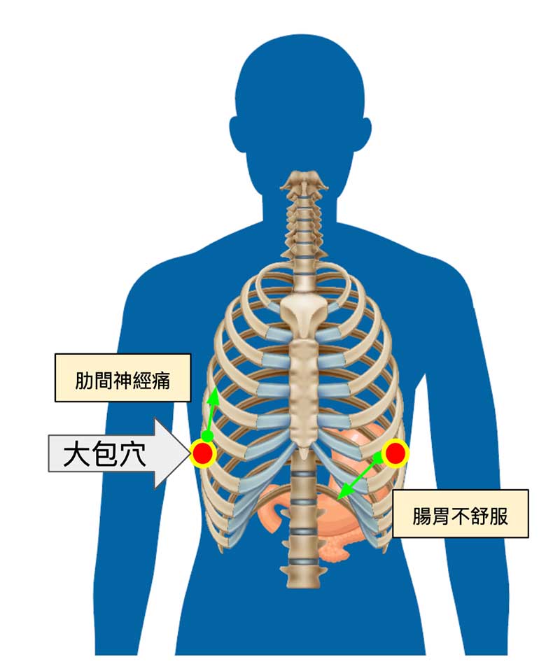 大包穴阻塞最容易出現肋痛與腸胃障礙