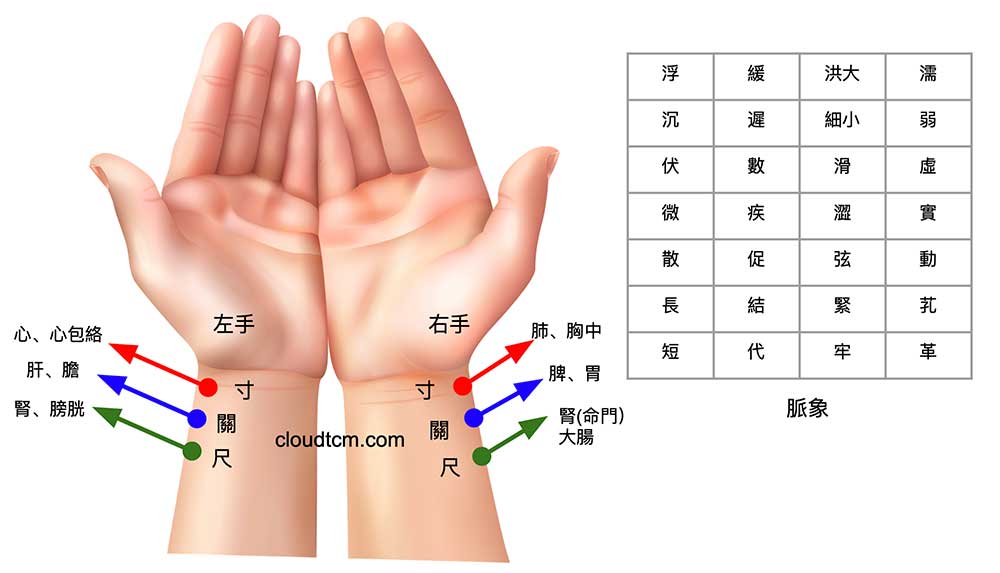 把脈時，雙手寸關尺診斷身體不同臟象的情況