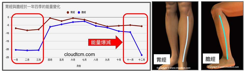 秋冬季節膽經胃經能量低下，經絡氣血不足