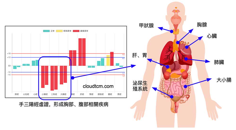 手三陽經虛證，也會造成胸部腹部的相關疾病