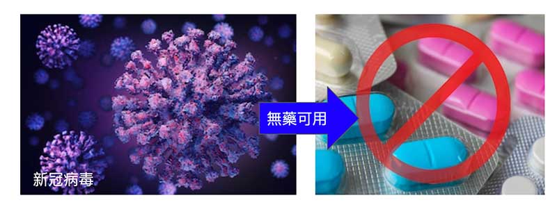 病毒持續變異下,面對新病毒時竟然無藥可用