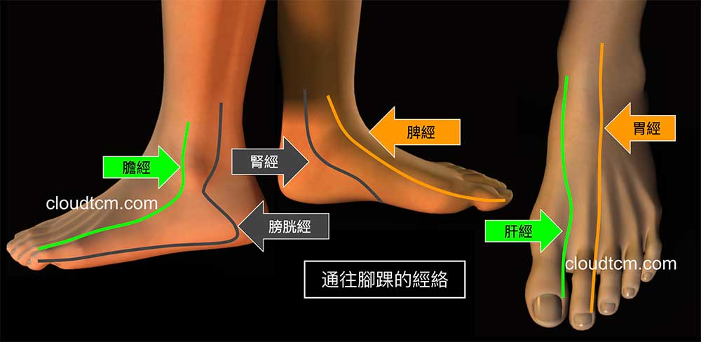 腳踝的外側、內側與後側自然疼痛,大多數源自於體內寒氣