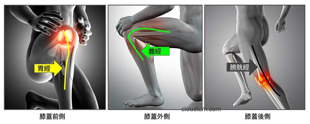 膝蓋的前外後側，受到胃、膽與膀胱經的影響