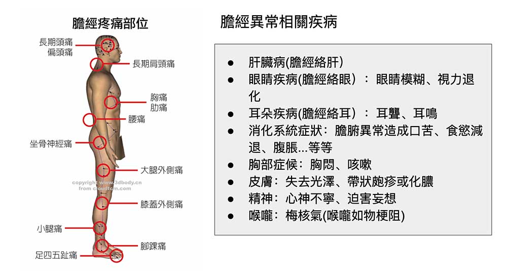 膽經不通的症狀，很可能會隨著敲打膽經浮現出來
