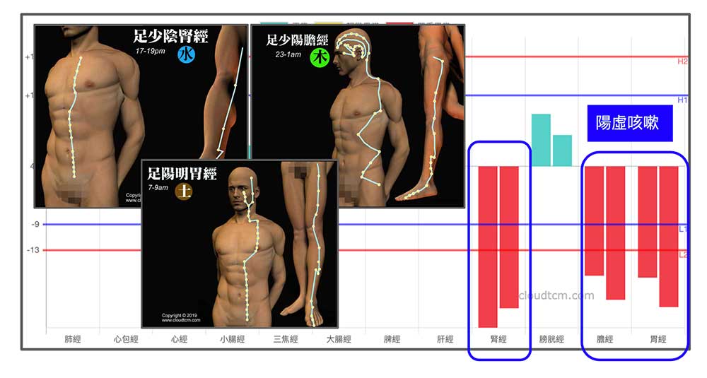 體內陽虛時的經絡狀態，很容易出現難治性咳嗽