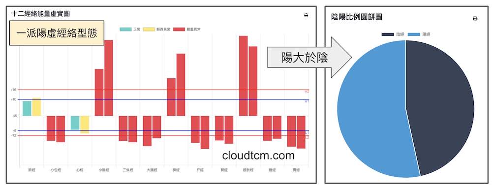體內嚴重陽虛的狀態，竟然整體比例陽大於陰？