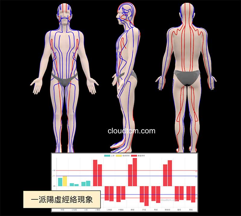 一派陽虛經絡現象的3D呈現