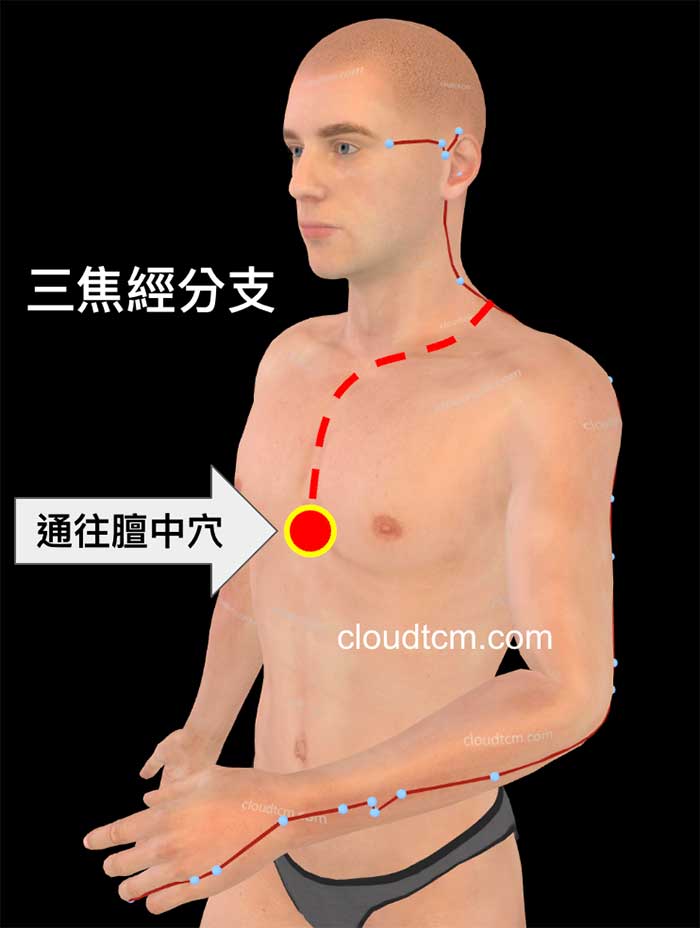 三焦經通往胸部，影響到肺臟