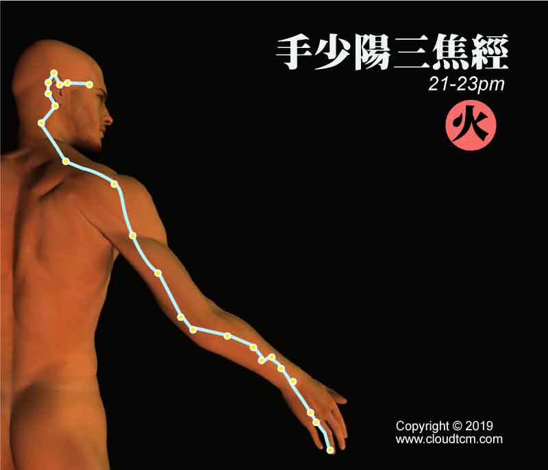 三焦經的運行時間是晚上21-23點