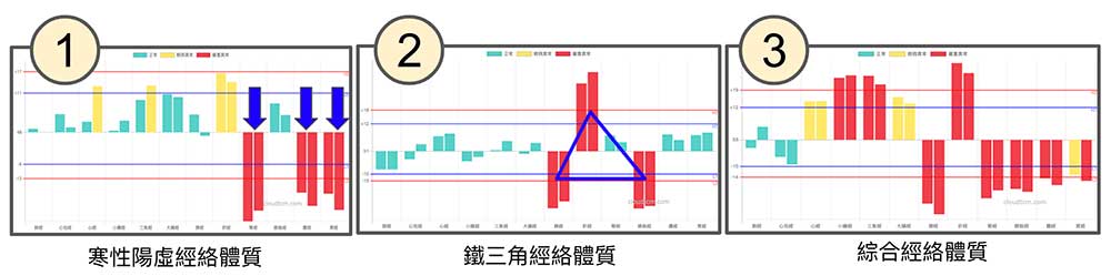 從大量現代人的經絡數據，歸納出三種經絡體質