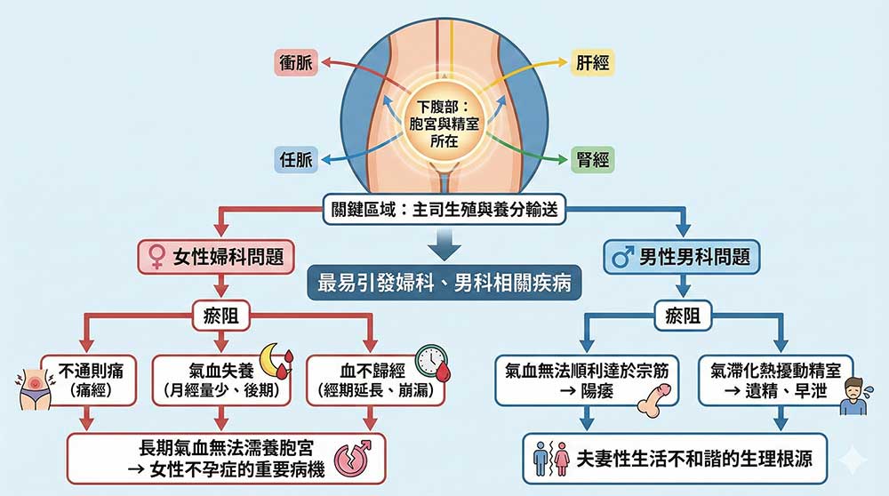下腹部瘀阻容易引發生殖系統疾病