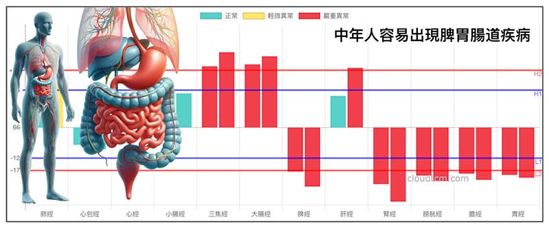 進入中年的經絡體質，幾乎多數人脾胃腸道消化系統都不好