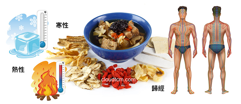 中藥具有寒熱與歸經特殊概念